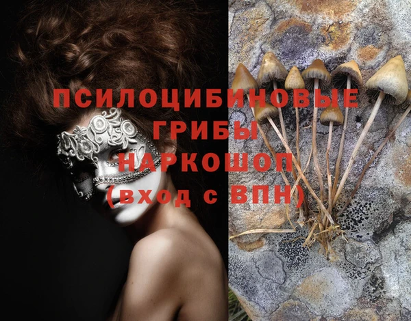марки lsd Балахна